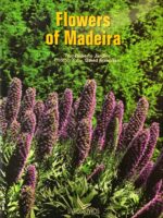 Flowers of Madeira-0